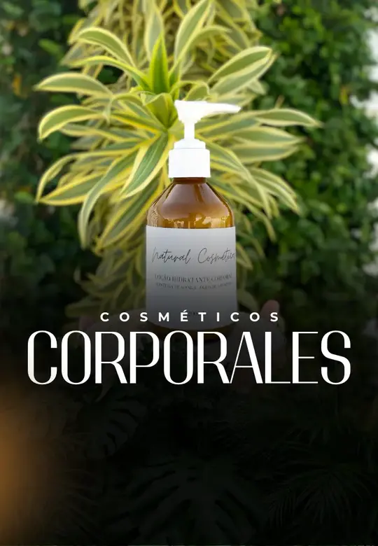 capa 01
