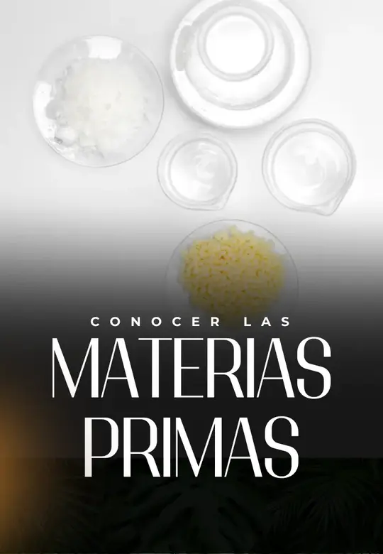 capa 11