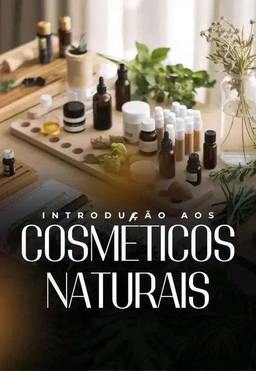 CAPAS-MODULOSMNC4.0-ezgif.com-resize